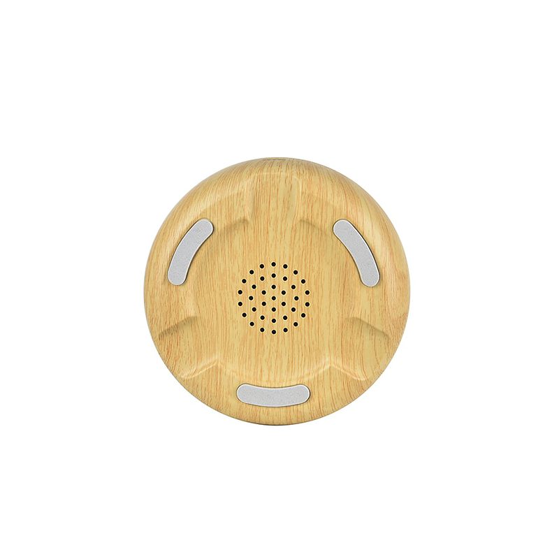 Bird Bluetooth Speaker Ambient Light.