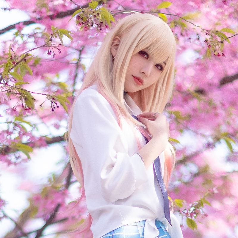 Anime My Dress Up Darling Cosplay Wig